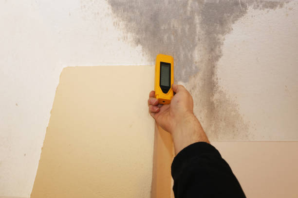 Best Asbestos and Lead Testing During Mold Inspection  in Waianae, HI
