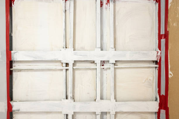 Best Mold Remediation for Healthcare Facilities  in Waianae, HI
