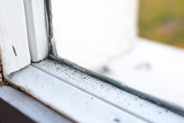 Best Indoor Air Quality Assessment  in Waianae, HI